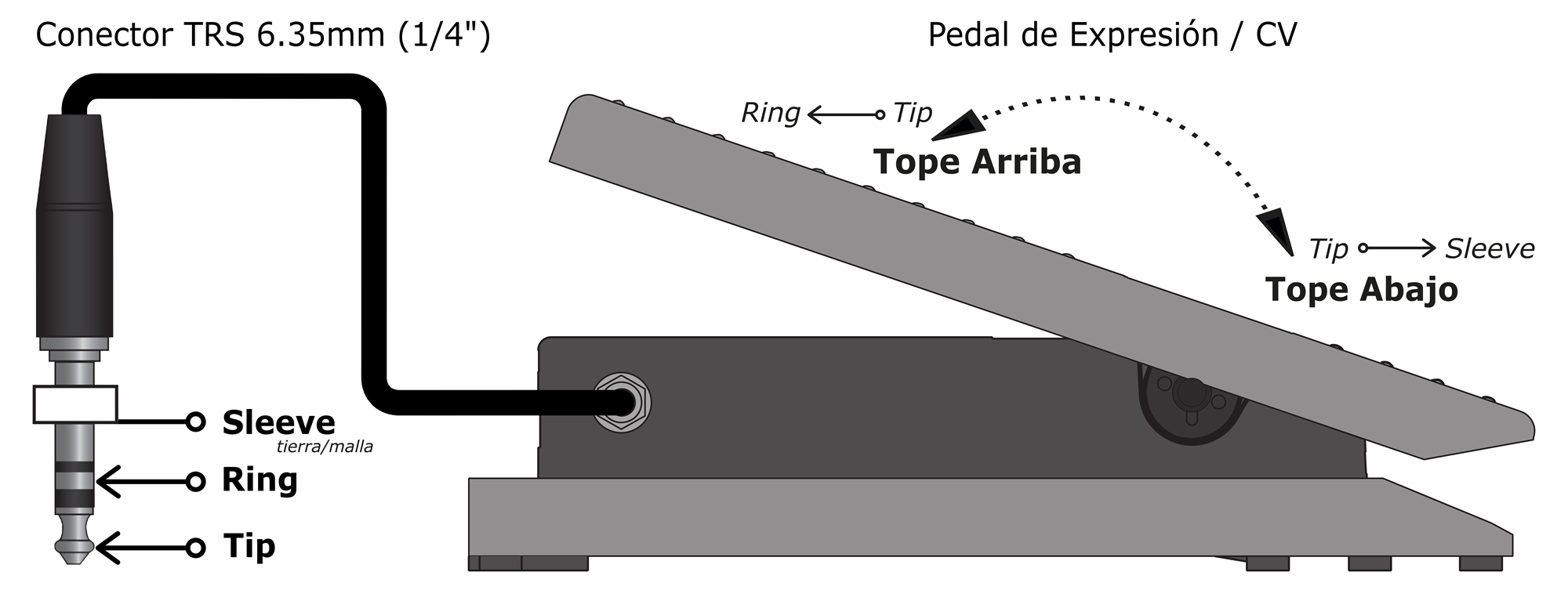 Conexión Pedal de Expresión TRS
